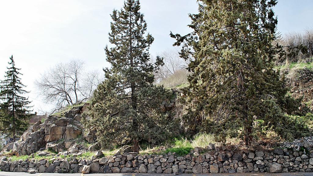 Travelodge By Wyndham Klamath Falls Exterior foto